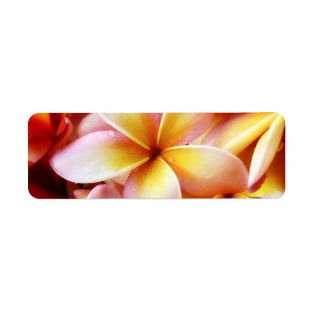 Plumeria Frangipani Hawaii Flower Customised Blank (Front)