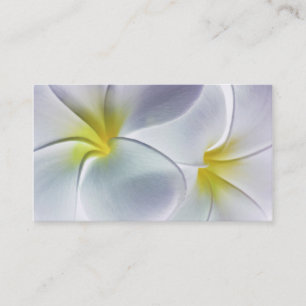 Plumeria Frangipani Hawaii Flower Customised Blank Business Card