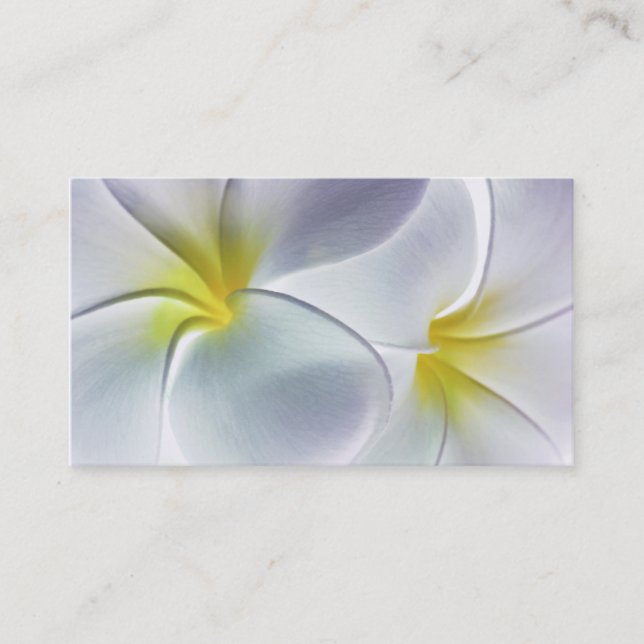 Plumeria Frangipani Hawaii Flower Customised Blank Business Card (Front)
