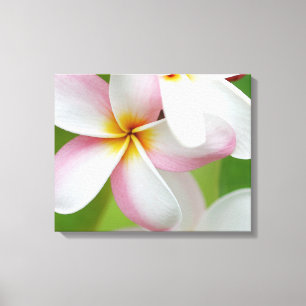 Plumeria Frangipani Hawaii Flower Customised Blank Canvas Print