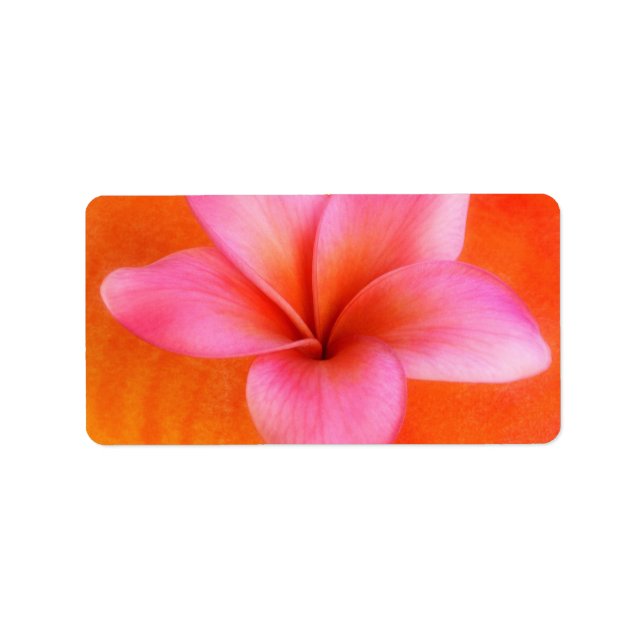 Plumeria Frangipani Hawaii Flower Customised Blank Label (Front)