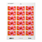 Plumeria Frangipani Hawaii Flower Customised Blank Label (Full Sheet)
