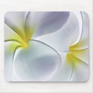 Plumeria Frangipani Hawaii Flower Customised Blank Mouse Mat