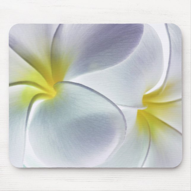 Plumeria Frangipani Hawaii Flower Customised Blank Mouse Mat (Front)