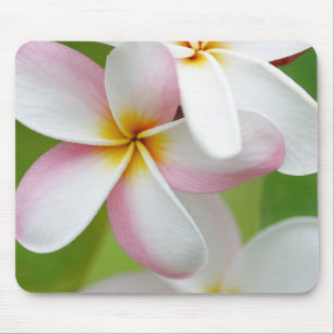 Plumeria Frangipani Hawaii Flower Customised Blank Mouse Mat