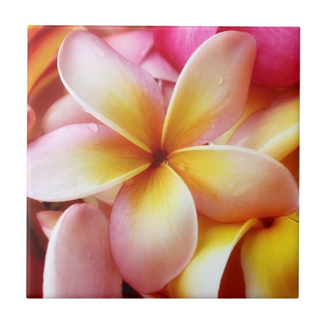 Plumeria Frangipani Hawaii Flower Customised Blank Tile (Front)