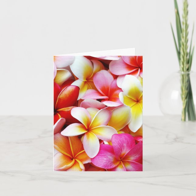 Plumeria Frangipani Hawaii Flower Customised Card (Front)