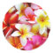 Plumeria Frangipani Hawaii Flower Customised