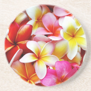 Plumeria Frangipani Hawaii Flower Customised Coaster