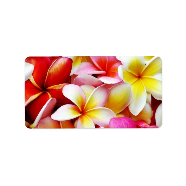 Plumeria Frangipani Hawaii Flower Customised Label (Front)