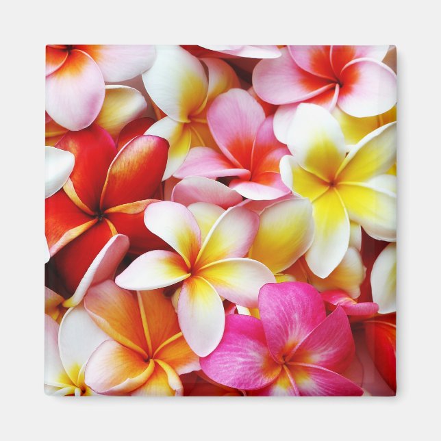 Plumeria Frangipani Hawaii Flower Customised Magnet (Front)