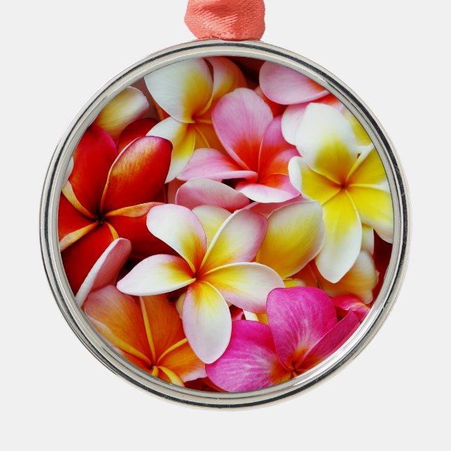 Plumeria Frangipani Hawaii Flower Customised Metal Tree Decoration (Front)