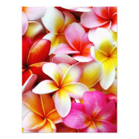 Plumeria Frangipani Hawaii Flower Customised