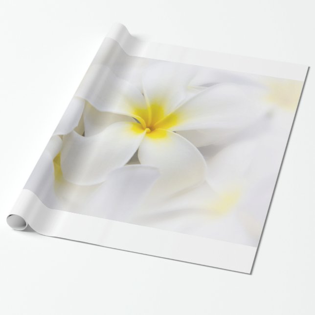 Plumeria Frangipani Hawaii Flower Flowers Template Wrapping Paper (Unrolled)