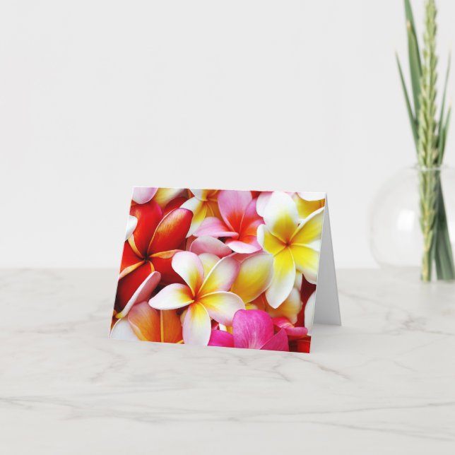 Plumeria Frangipani Hawaii Flower Hawaiian Flowers Card (Front)