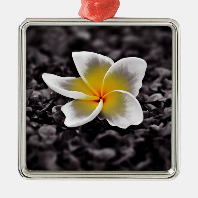 Plumeria Frangipani Hawaii Flower Metal Tree Decoration (Front)