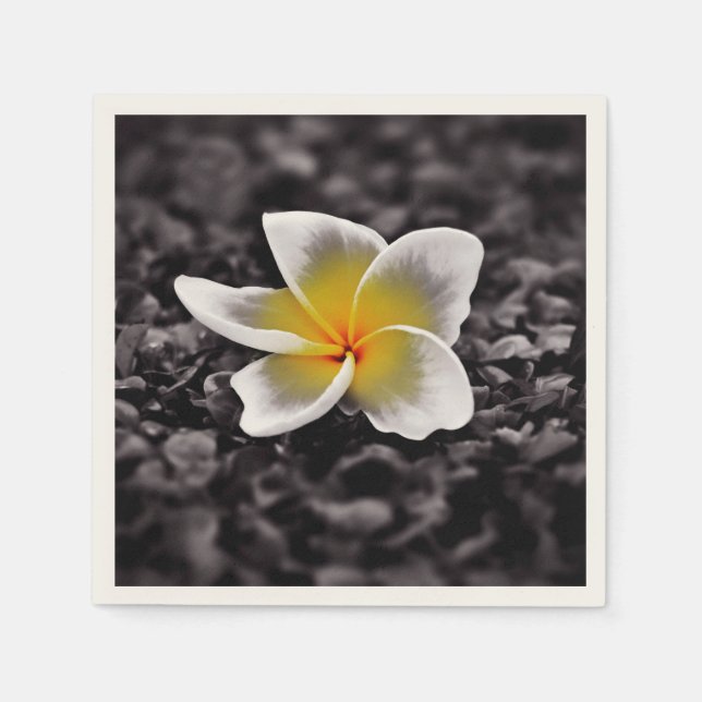 Plumeria Frangipani Hawaii Flower Napkin (Front)
