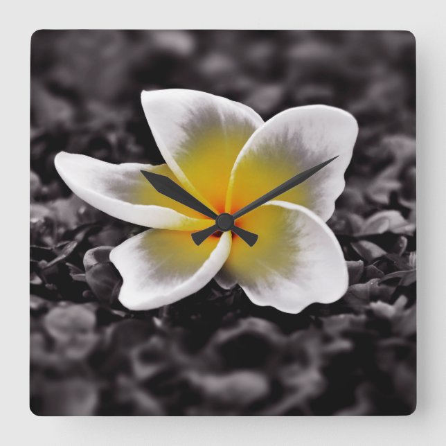 Plumeria Frangipani Hawaii Flower Square Wall Clock (Front)