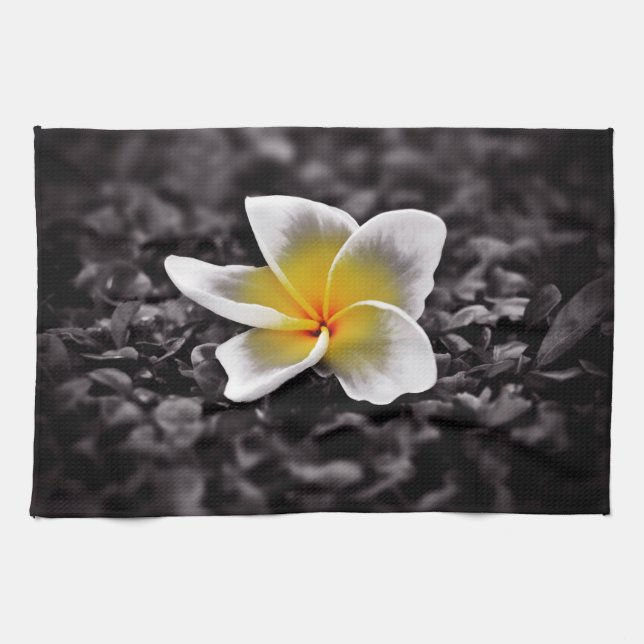 Plumeria Frangipani Hawaii Flower Tea Towel (Horizontal)