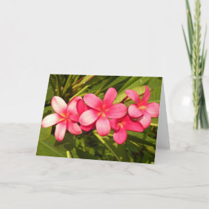 Plumeria Holiday Card