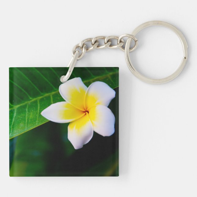 Plumeria Key Ring (Back)