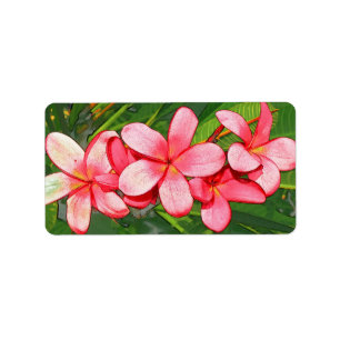 plumeria label