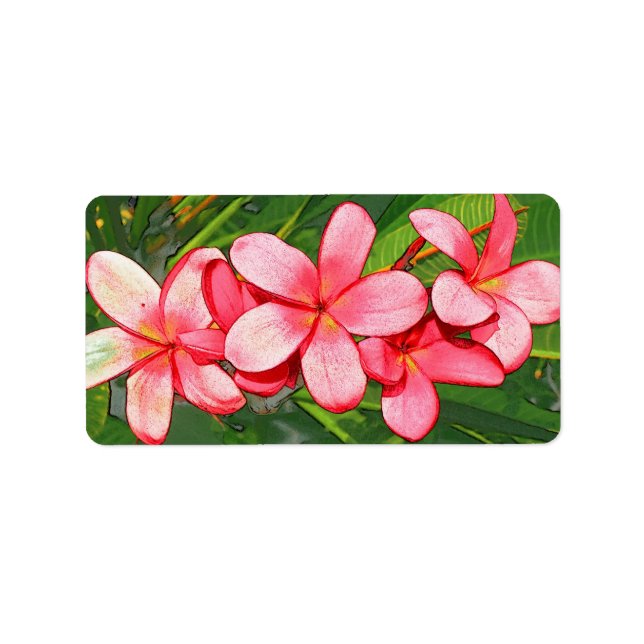 plumeria label (Front)