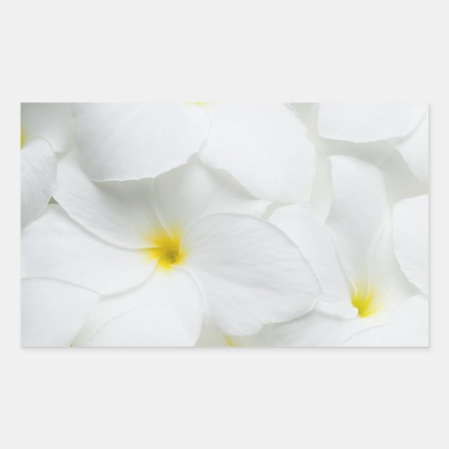 Plumeria Lei Flowers Personalised Hawaiian Flower Rectangular Sticker (Front)