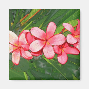 Plumeria Magnet