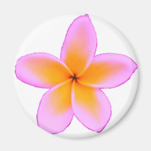 Plumeria Magnet