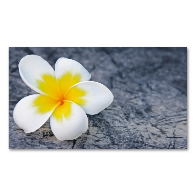 plumeria 	Magnetic business card (Front)