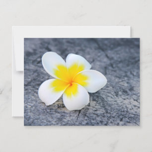 plumeria magnetic invitation