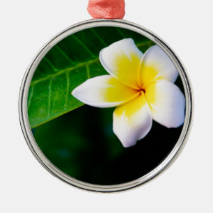 Plumeria Metal Tree Decoration
