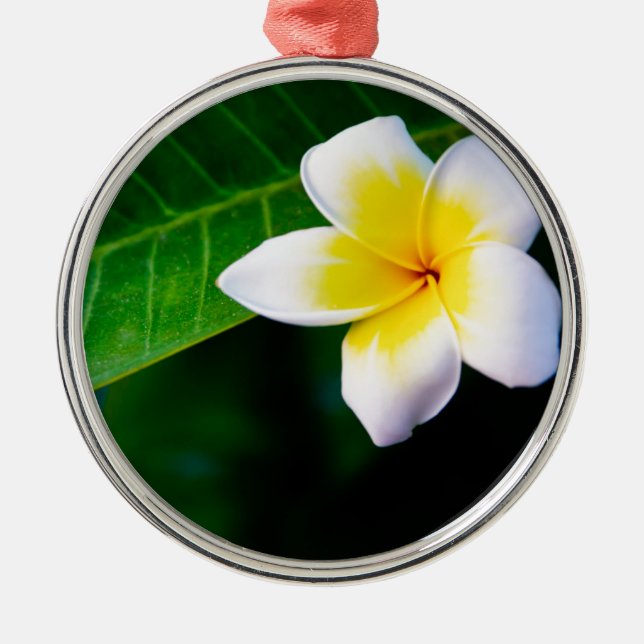 Plumeria Metal Tree Decoration (Front)