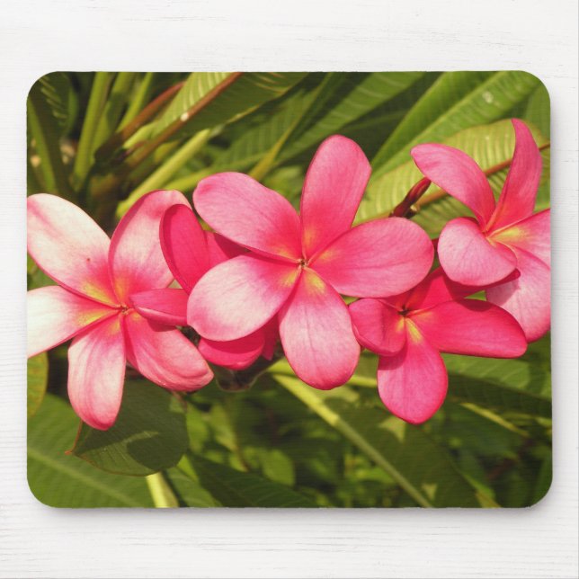 plumeria mouse mat (Front)