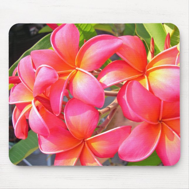 Plumeria Mousepad (Front)