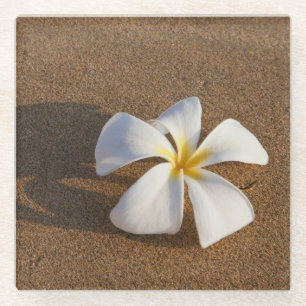 Plumeria on sandy beach, Maui, Hawaii, USA Glass Coaster