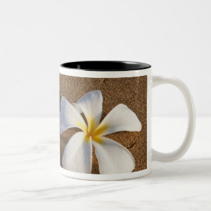 Plumeria on sandy beach, Maui, Hawaii, USA Two-Tone Coffee Mug