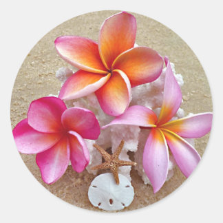 Plumeria on Shells on Beach Classic Round Sticker