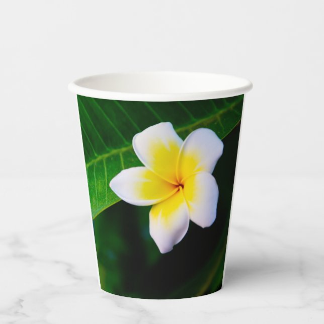 plumeria paper cups (Front)