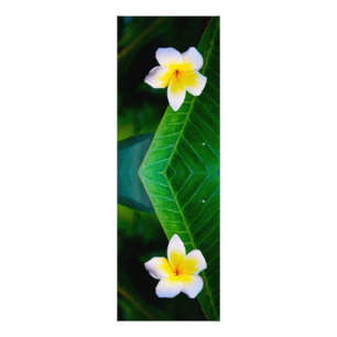plumeria photo print