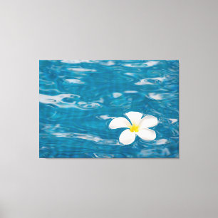 Plumeria Pool Wrapped Canvas Art