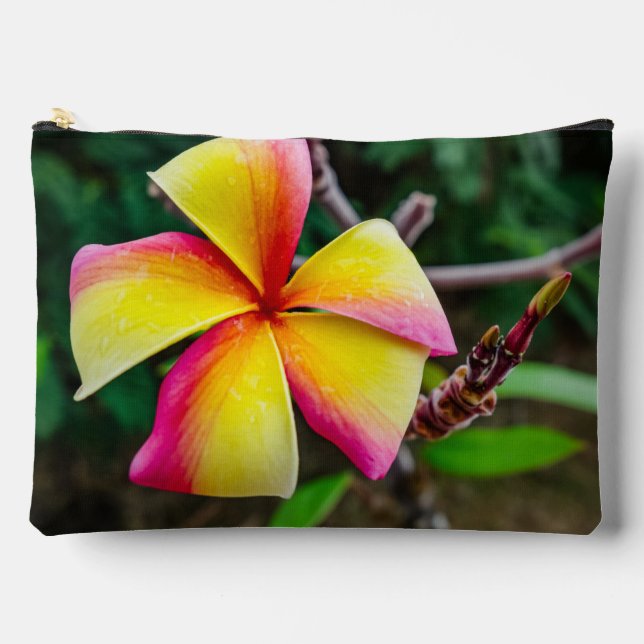 Plumeria rubra accessory pouch (Front)