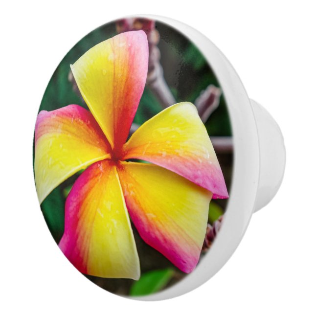 Plumeria rubra ceramic knob (Right)