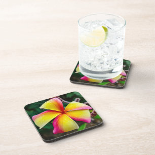 Plumeria rubra coaster