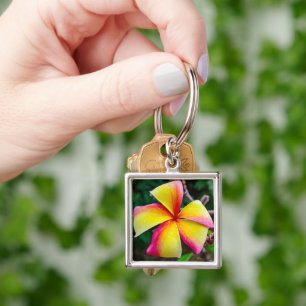 Plumeria rubra key ring