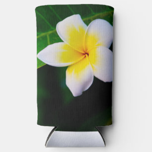 plumeria seltzer can cooler