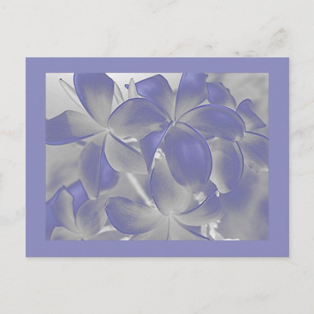 Plumeria Shadows Blue and Grey Postcard (Front)