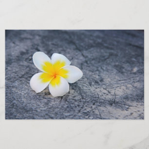 Plumeria Stationery