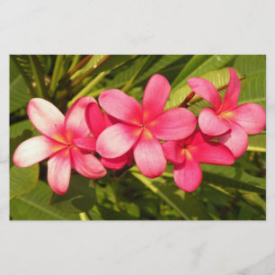 Plumeria Stationery